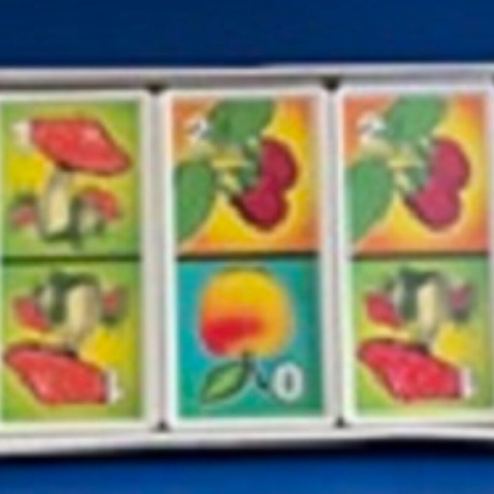 NEW Vintage Stellar USSR Soviet Domino for Kids Pictures Set Interactive Game